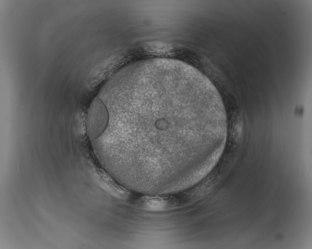 X0000114660658200911101344