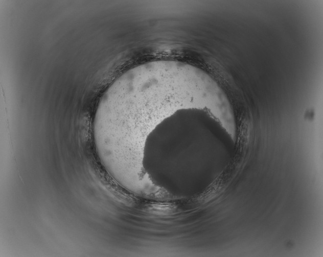 X0000114660659200911101344