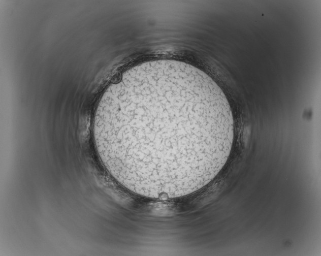 X0000114660660200911101344