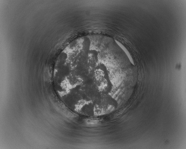 X0000114660661200911101344