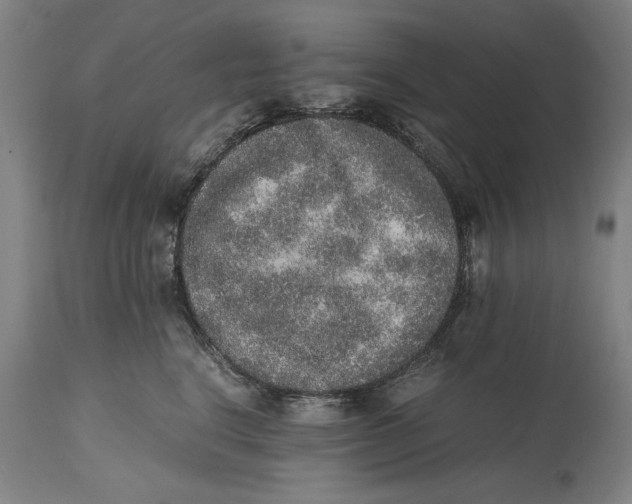 X0000114660664200911101344