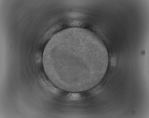 X0000114660665200911101344