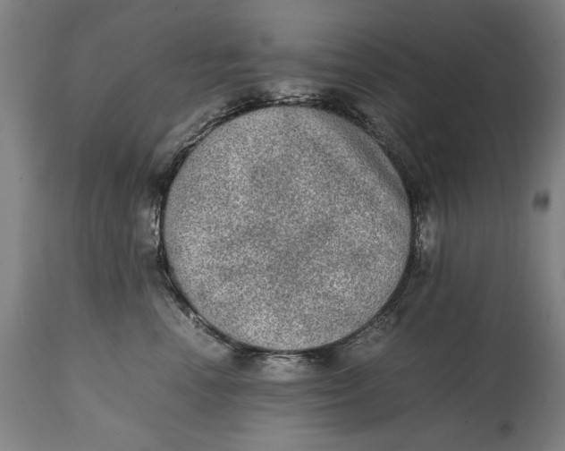 X0000114660666200911101344