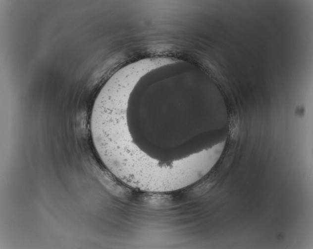 X0000114660670200911101344