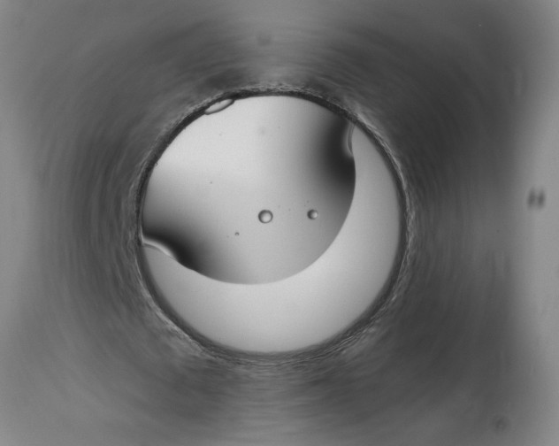 X0000114660673200911101343