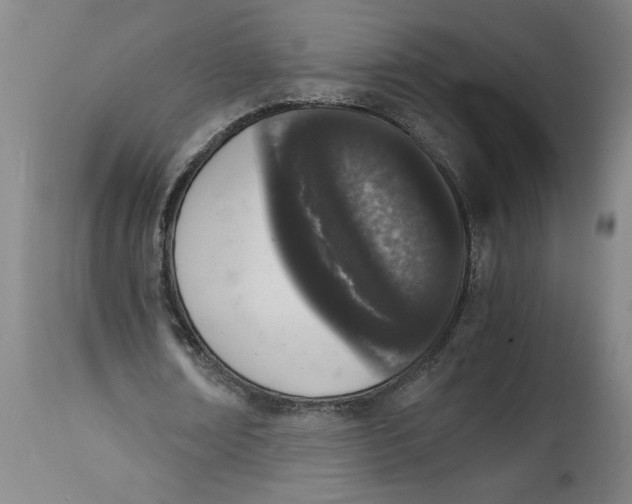 X0000114660674200911101343