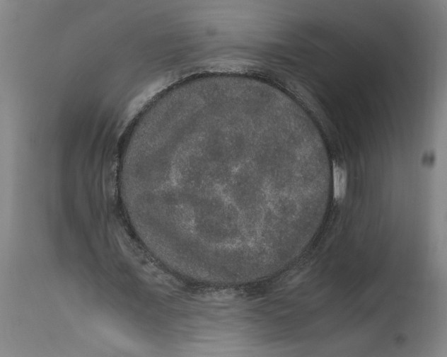 X0000114660675200911101343