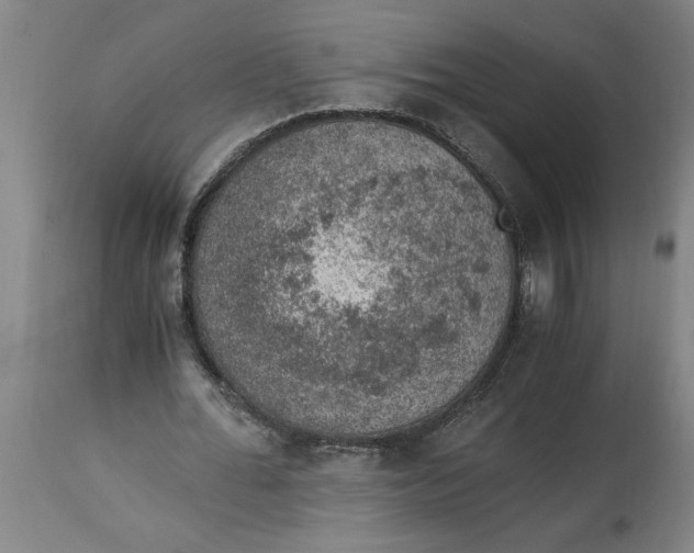 X0000114660676200911101343