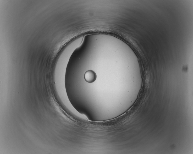 X0000114660677200911101343