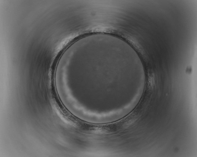 X0000114660678200911101343