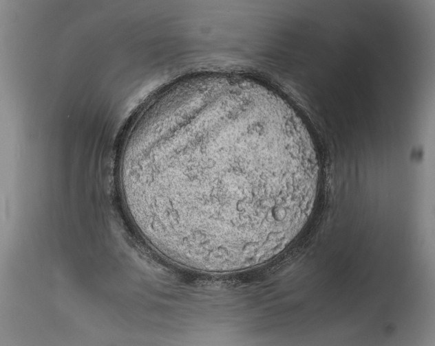 X0000114660679200911101343