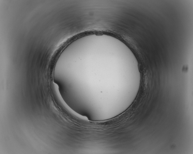 X0000114660680200911101343