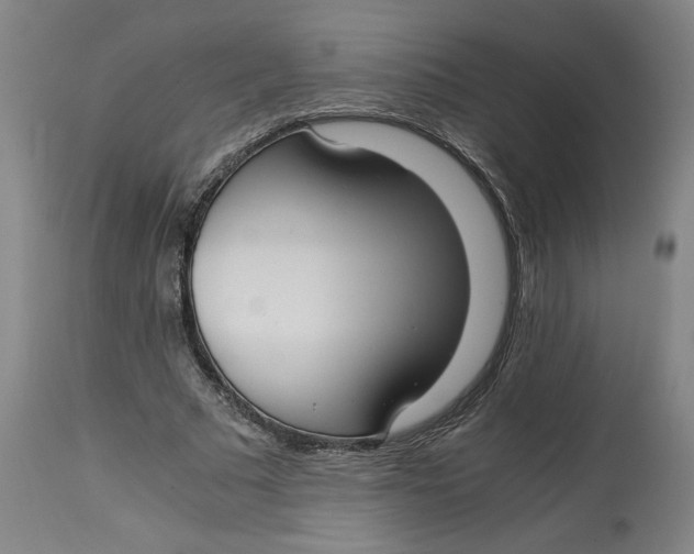 X0000114660681200911101343