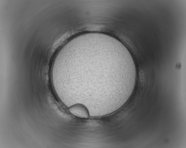 X0000114660682200911101343