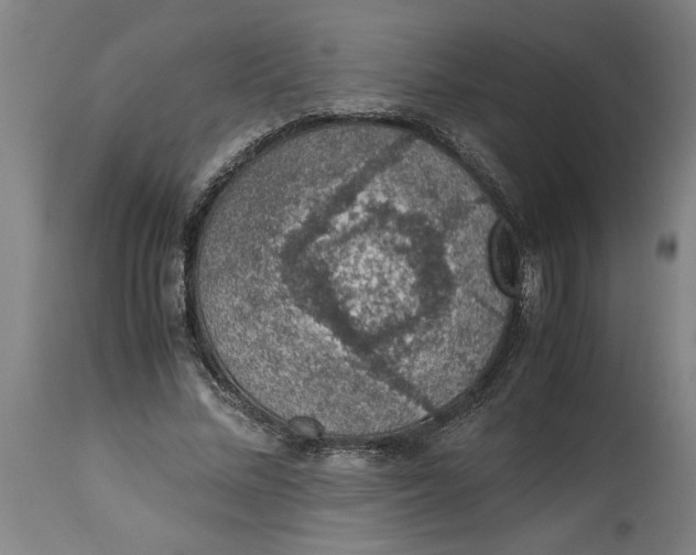 X0000114660684200911101343