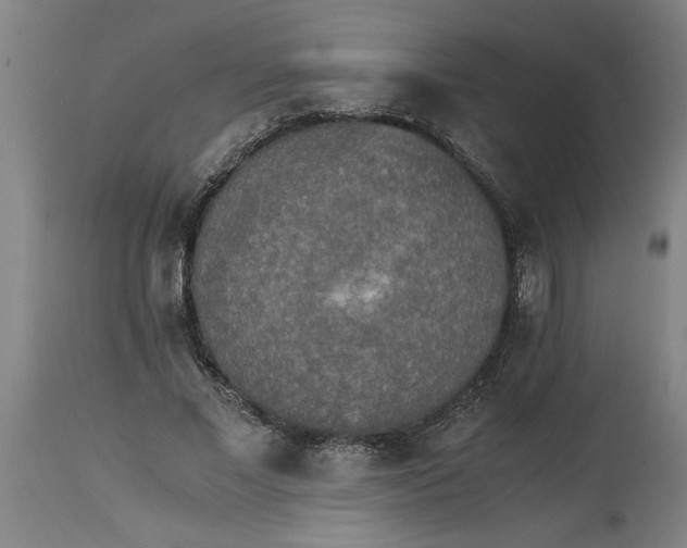 X0000114660685200911101343