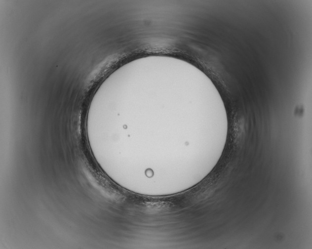 X0000114660686200911101343