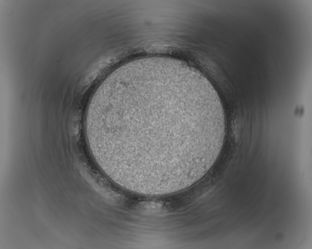 X0000114660687200911101343