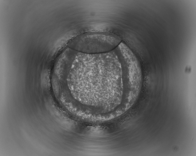 X0000114660688200911101343