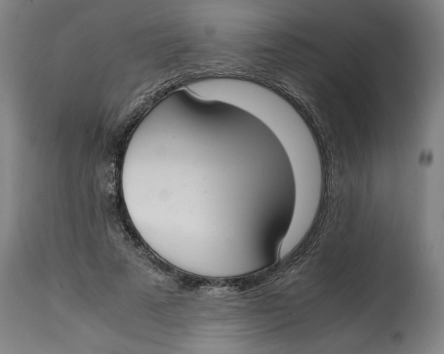 X0000114660689200911101343