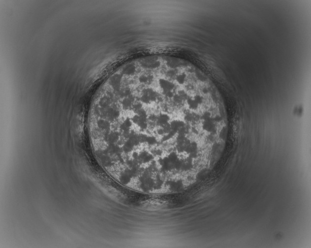 X0000114660691200911101343