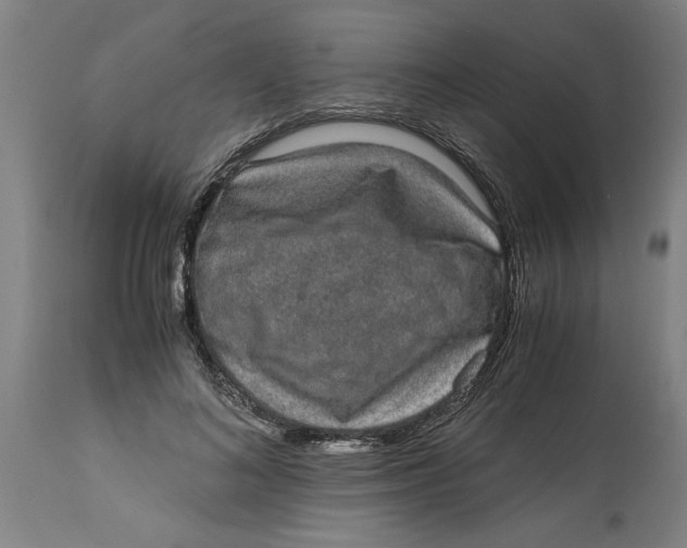 X0000114660692200911101343