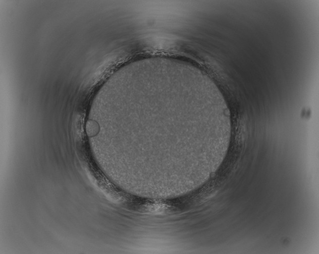 X0000114660695200911101343