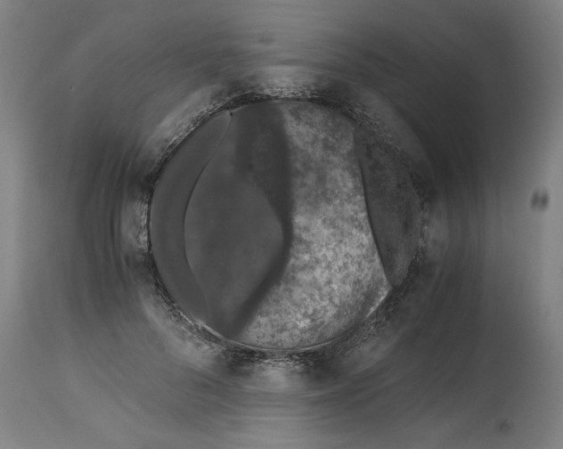 X0000114660696200911101343