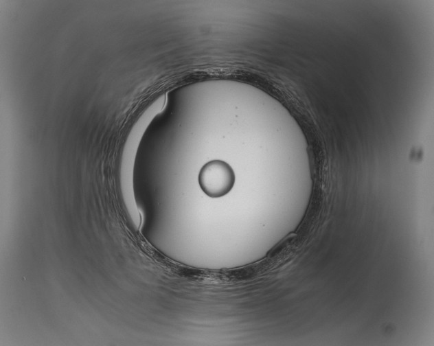 X0000114660697200911101343