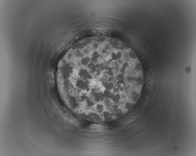 X0000114660699200911101343