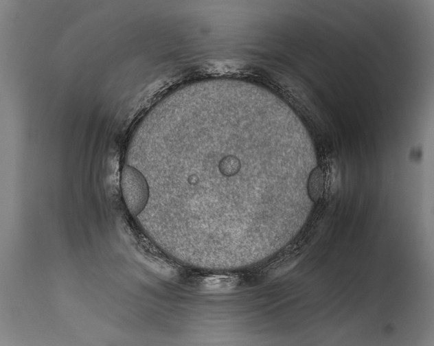 X0000114660700200911101343