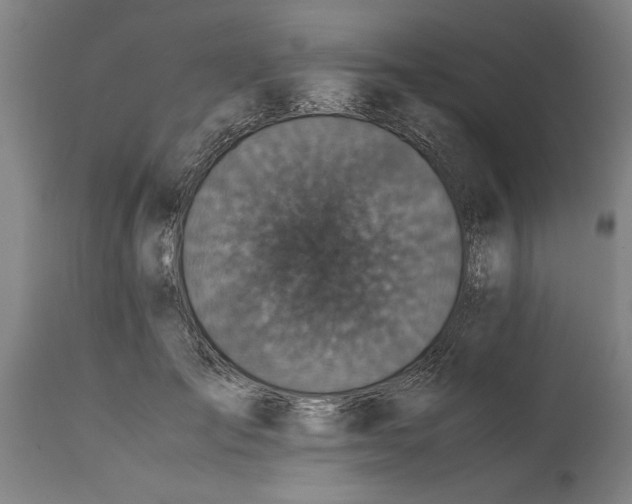 X0000114660701200911101343