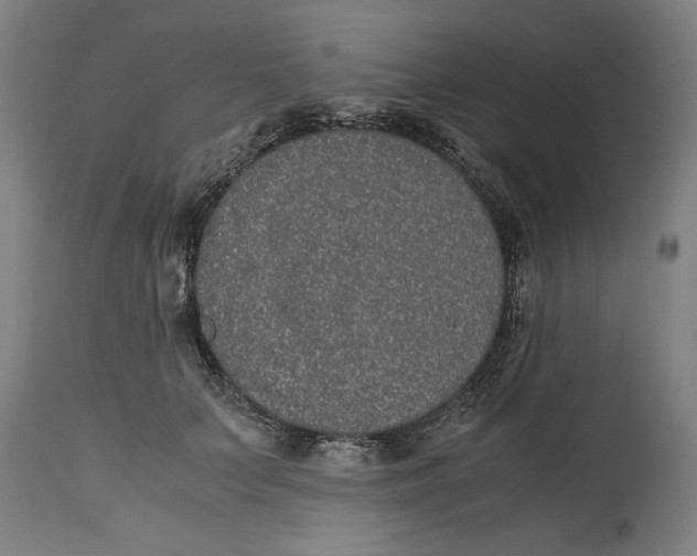 X0000114660703200911101343