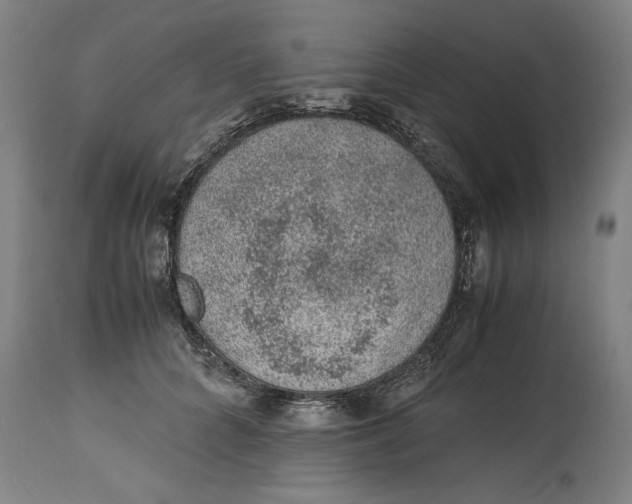 X0000114660704200911101343