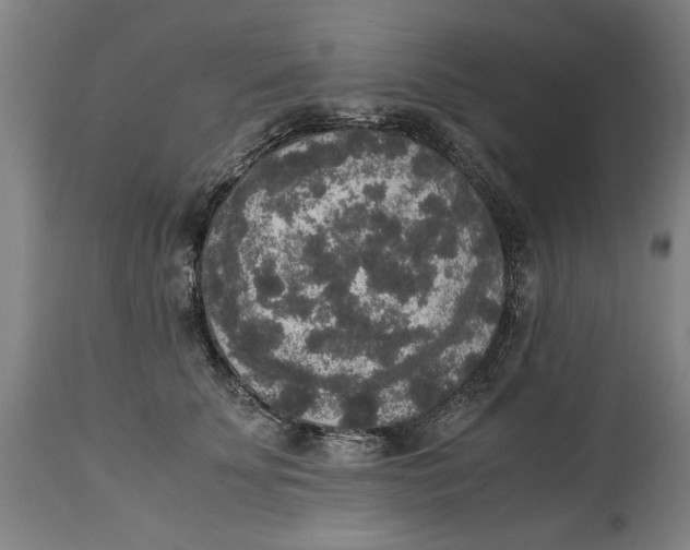 X0000114660707200911101343