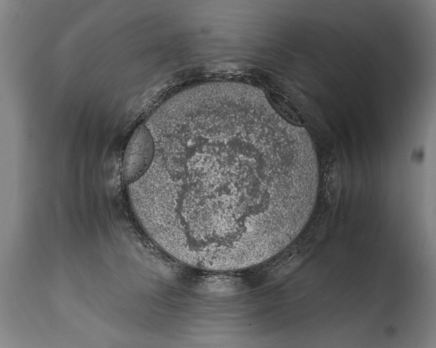 X0000114660708200911101343