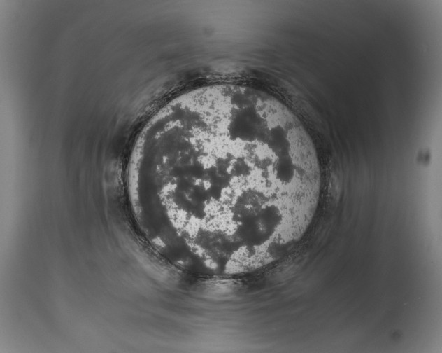 X0000114660711200911101343