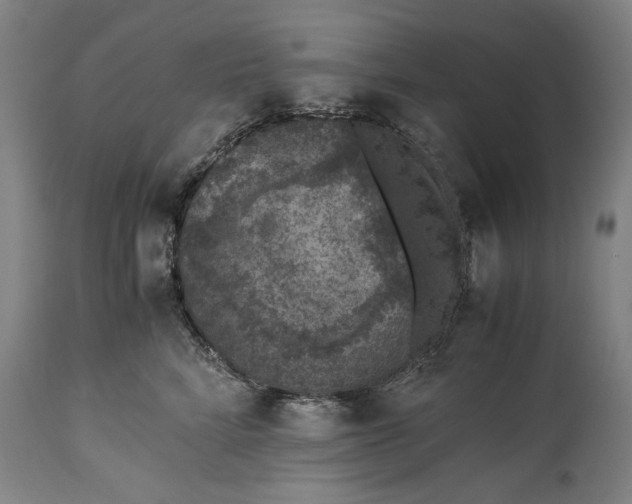 X0000114660712200911101343