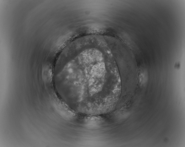 X0000114660716200911101343