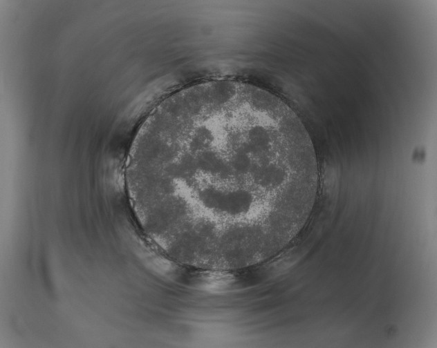 X0000114660719200911101343