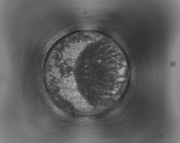 X0000114660721200911101342