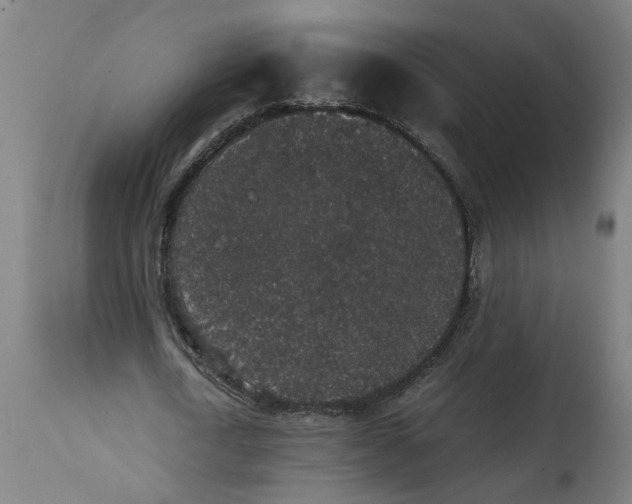 X0000114660722200911101342