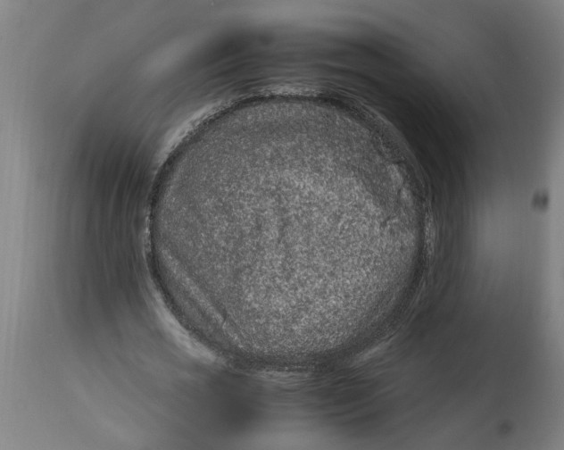 X0000114660725200911101342