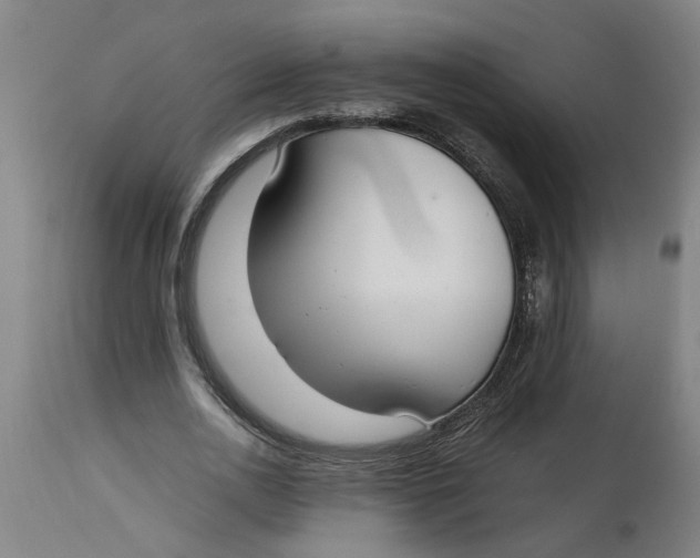 X0000114660726200911101342