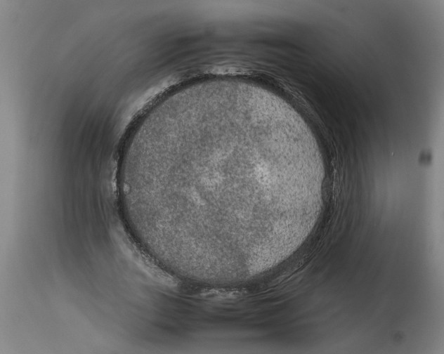 X0000114660727200911101342