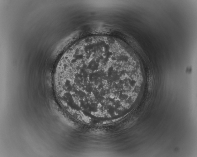 X0000114660729200911101342