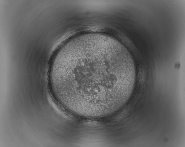 X0000114660730200911101342