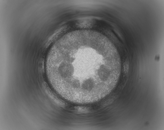 X0000114660733200911101342