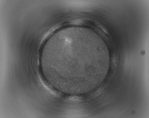 X0000114660734200911101342