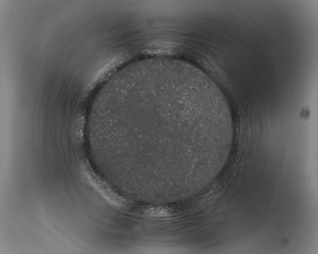 X0000114660735200911101342